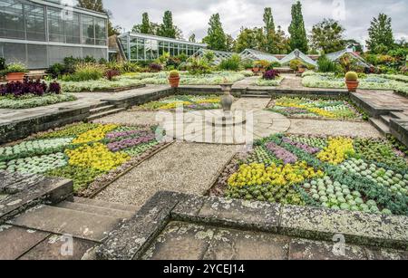 Un lit de fleurs idyllique dans les jardins botaniques de Hanovre dans le temps nuageux de septembre et serres sur la gauche Banque D'Images