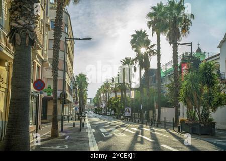 08-29-2022 Perpignan France Perpignan, centre-ville : rue au chemin de fer Startion avec de grands palmiers! Coucher de soleil avec soleil brillant dans le sud de la France, Frenc Banque D'Images