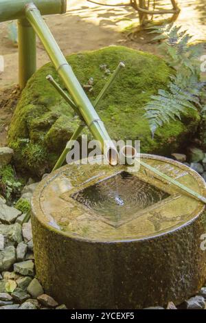 Ressort avec tuyau en bambou. L'eau coule du tuyau en bambou Banque D'Images