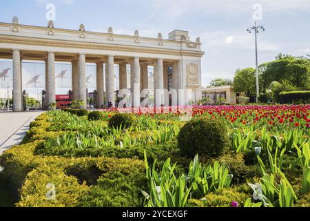 Plantes vertes, fleurs et buissons dans Central Gorky Park à Moscou, capitale russe- centre-ville Banque D'Images