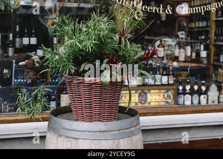 Gouda, pays-Bas, 4 août 2016 : vitrine pittoresque d'un magasin gastronomique dans la ville néerlandaise de Gouda Banque D'Images