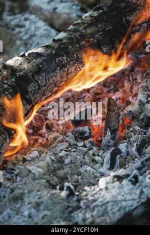 Ce qui reste après que les effets de la combustion du bois, burning ash Banque D'Images