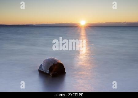 Un rocher dans le moi au lever du soleil avec un brillant reflet de lumière sur l'eau, Hoernle, Constance, Lac de Constance, Bade-Wuertemberg, Allemagne, Europe Banque D'Images