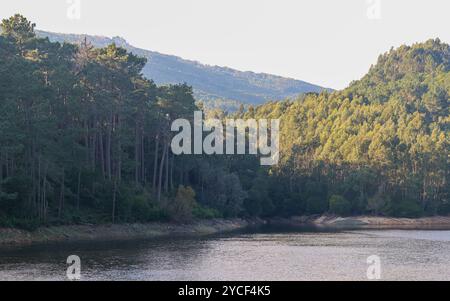 Eaux tranquilles reflétant la lumière du soleil au barrage de rio da mula, entouré de forêts luxuriantes dans le parc naturel de la serra de sintra, portugal Banque D'Images