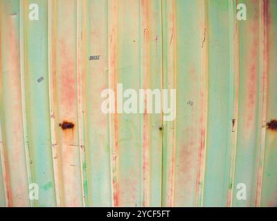 Une seule vigne grimpe jusqu'à une clôture métallique de couleur pastel altérée, avec des taches de rouille et de la peinture décolorée. Banque D'Images