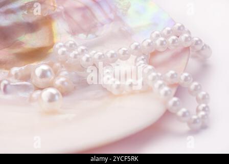 Macro de perles et collier dans une coquille d'huître. Image teintée de rose Banque D'Images