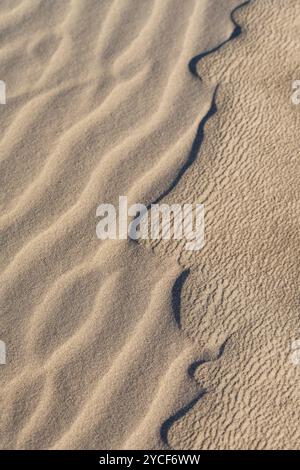 Motif sculpté par le vent dans le sable, île d'Amrum, parc national de la mer des Wadden du Schleswig-Holstein, Allemagne, Schleswig-Holstein, côte de la mer du Nord Banque D'Images