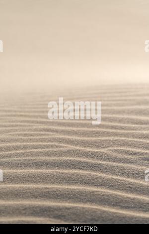 Motif sculpté par le vent dans le sable, île d'Amrum, parc national de la mer des Wadden du Schleswig-Holstein, Allemagne, Schleswig-Holstein, côte de la mer du Nord Banque D'Images