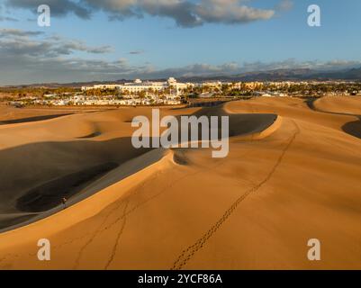 Hôtel Riu Palace, Dunes of Maspalomas, Maspalomas, Gran Canaria, Îles Canaries, Espagne Banque D'Images