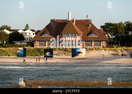 Plage de Zingst, affichage avec des photos de requins du festival environnemental, Zingst, Mecklembourg-Poméranie occidentale, Allemagne Banque D'Images