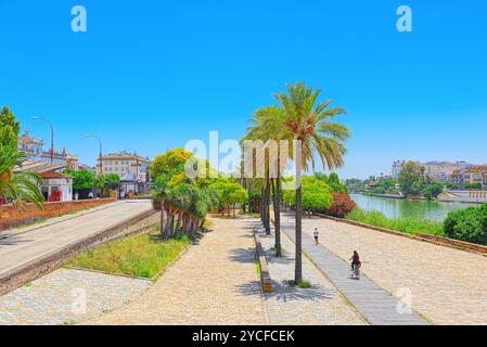 Séville, Espagne - Juin 08, 2017 : vue sur le centre-ville de Séville et Guadalquivir River Promenade. L'Espagne. Banque D'Images