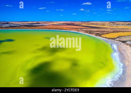 Vue aérienne du lac Baandee, South Doodlakine, Australie occidentale Banque D'Images