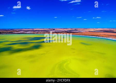 Vue aérienne du lac Baandee, South Doodlakine, Australie occidentale Banque D'Images