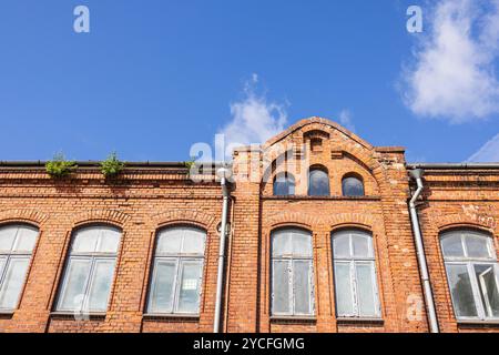 Gouttière bloquée et plante poussant dedans contre un ciel bleu Banque D'Images