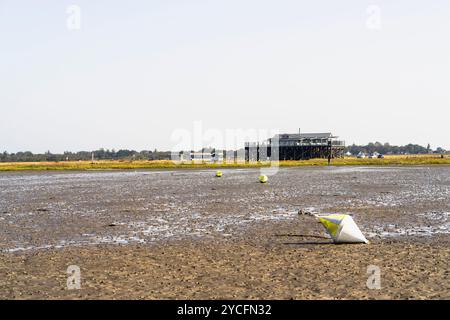 Habitations en pieux dans les marais salants du parc national de la mer des Wadden du Schleswig-Holstein près de Sankt Peter-Ording, Frise du Nord, Schleswig-Holstein, Allemagne Banque D'Images