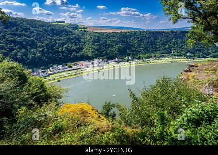 Vue sur le Rhin depuis le plateau de Loreley avec le camping Loreleyblick, Banque D'Images