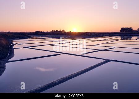 Les marais salants de Guérande en soirée - Département Loire-Atlantique, Bretagne, France Banque D'Images