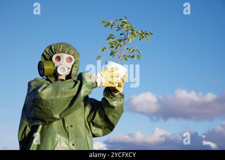 Une personne en vêtements de protection tient le dernier ficus Banque D'Images