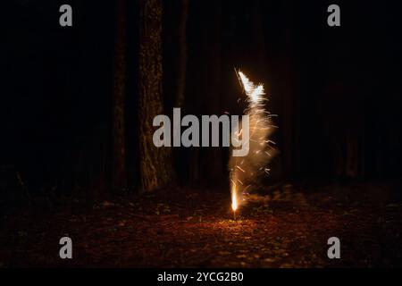 Feux d'artifice explosant sur le sol la nuit. Feu d'artifice avec fond de nuit sombre. Volcan de feux d'artifice scintillant à la fontaine pyro pour la fête du nouvel an Banque D'Images