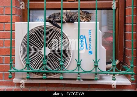 Un chat dormant sur une unité de climatisation, Istanbul, Turquie Banque D'Images