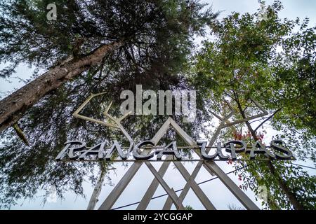 Ranca Upas ou Kampung Cai Ranca Upas est l'une des attractions touristiques de South Bandung et populaire comme zone de conservation pour les cerfs du Timor. Banque D'Images