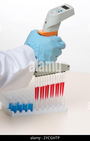 Scientifique utilisant une pipette multicanaux et des cuvettes de laboratoire. Mise au point au premier plan. Banque D'Images