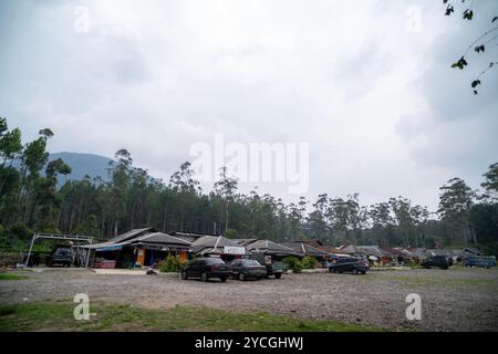 Ranca Upas ou Kampung Cai Ranca Upas est l'une des attractions touristiques de South Bandung et populaire comme zone de conservation pour les cerfs du Timor. Banque D'Images