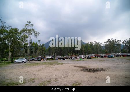 Ranca Upas ou Kampung Cai Ranca Upas est l'une des attractions touristiques de South Bandung et populaire comme zone de conservation pour les cerfs du Timor. Banque D'Images