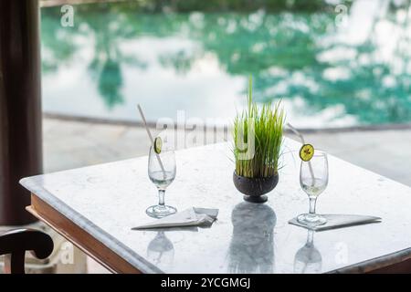 Deux verres élégants avec des boissons garnis de tranches de concombre, placés sur une table en marbre. En arrière-plan, une végétation luxuriante est visible, créant une sére Banque D'Images