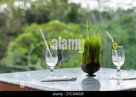 Deux verres élégants avec des boissons garnis de tranches de concombre, placés sur une table en marbre. En arrière-plan, une végétation luxuriante est visible, créant une sére Banque D'Images