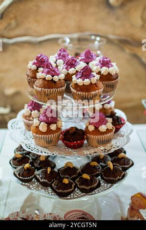 Exquis affichage de Cupcakes colorés sur un élégant stand à étages. Banque D'Images