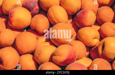 Photos de détail plein format montrant de nombreuses pêches fraîches illuminées par le soleil Banque D'Images