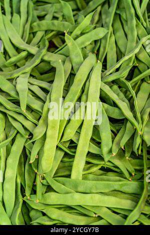 Photos de détail plein format montrant beaucoup de haricots verts frais Banque D'Images