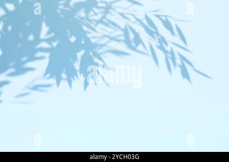 Fond bleu pastel avec ombre Banque D'Images