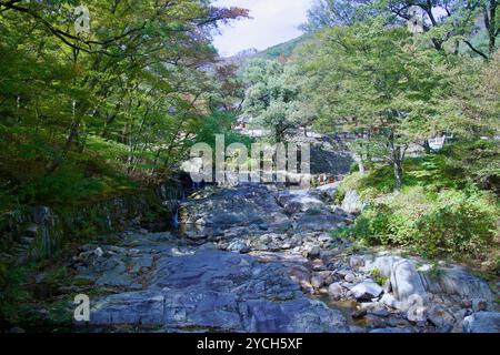 Ulsan, Corée du Sud - 21 octobre 2023 : un ruisseau tranquille serpente à travers le paysage rocheux de la vallée de Seoknamsa, entouré d'arbres luxuriants et de plomb Banque D'Images