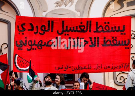 Tunis, Tunisie. 09 mars 2024. Une grande manifestation de solidarité avec les femmes et les mères palestiniennes est organisée à Tunis à l’occasion de la Journée internationale de la femme. Les participants portaient des drapeaux palestiniens et des banderoles condamnant le "génocide" en cours à Gaza, où la majorité des 30 800 Palestiniens tués dans les frappes israéliennes jusqu'à présent sont des femmes et des enfants. Les manifestants ont également exprimé leur soutien aux Palestiniens dans leur lutte pour la libération de l'occupation israélienne vieille de plusieurs décennies Banque D'Images