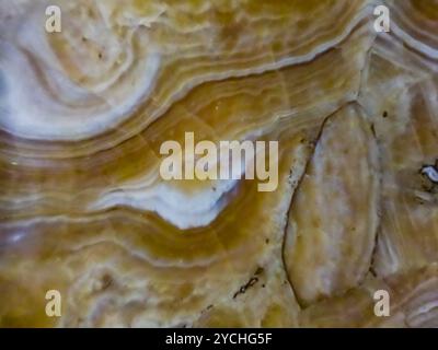 Fond de texture de marbre romain ancien, dalle de marbre italien, la texture de calcaire ou texture de pierre grunge de surface en gros plan Banque D'Images