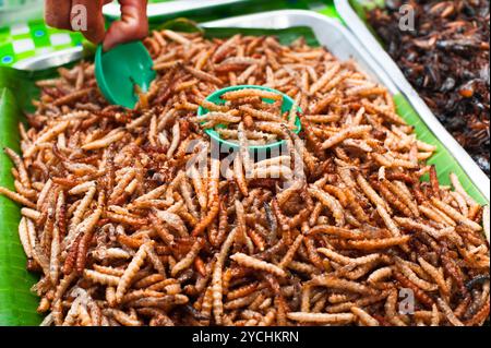 Cuisine thaïlandaise au marché. Insectes frits vers de farine Banque D'Images