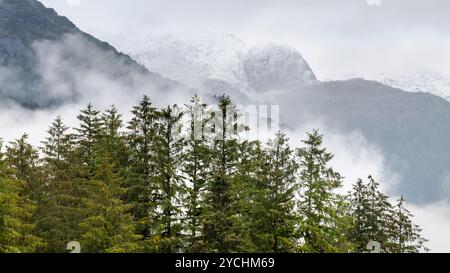 La brume et les nuages s'élèvent au-dessus de la forêt pluviale tempérée avec des montagnes poussiéreuses de neige au loin, dans la forêt pluviale de Great Bear, en Colombie-Britannique Banque D'Images