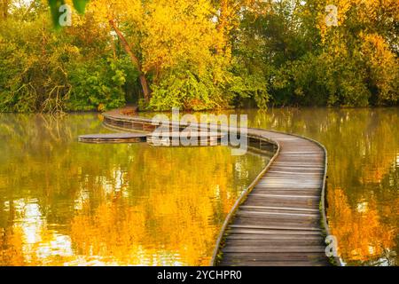 Un étroit pont en bois serpente gracieusement au-dessus d'un étang calme entouré d'un feuillage d'automne vibrant. La lumière tranquille du matin se reflète sur l'eau, créant une atmosphère sereine à Vestec. Banque D'Images