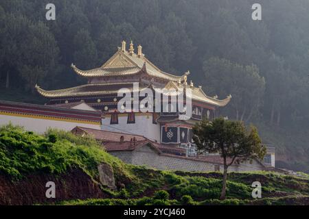 Temple Langmusi dans le Sichuan, Chine Banque D'Images