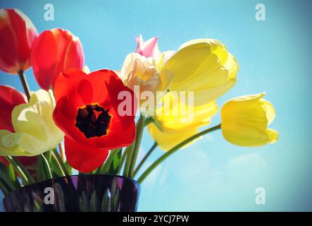 Bouquet de tulipes lumineuses colorées dans un vase en verre Banque D'Images