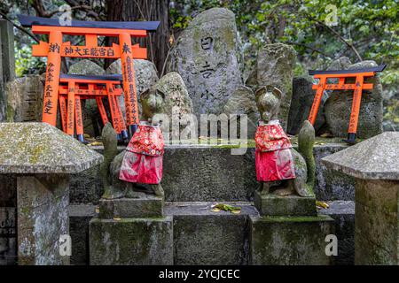 Pierres Inari statues de renard torii portes à l'entrée d'un sanctuaire japonais Banque D'Images