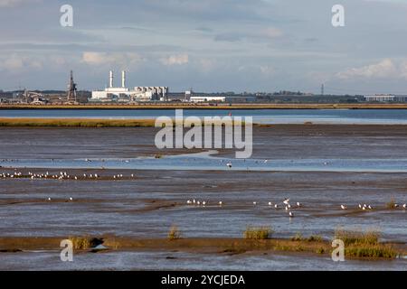 La centrale électrique de Kingsnorth était une centrale électrique à charbon et au pétrole à double combustion située sur la péninsule de Hoo à Medway dans le Kent, dans le sud-est de l'Angleterre. La station Hinton Heavies, composée de quatre unités, était exploitée par la firme d'énergie E. SUR LE Royaume-Uni, et avait une capacité de production de 2 000 mégawatts.[4] il était capable de fonctionner au charbon ou au pétrole, bien que dans la pratique le pétrole ne soit utilisé que comme combustible secondaire ou pour le démarrage. Banque D'Images