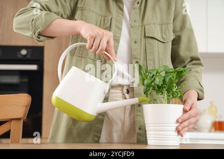 Femme arrosant la plante de basilic dans la cuisine Banque D'Images