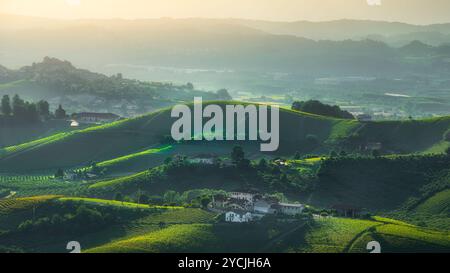 Langhe vignobles paysage et vignobles au coucher du soleil à Roddi et San Cassiano, Alba. Région du Piémont, Italie Banque D'Images