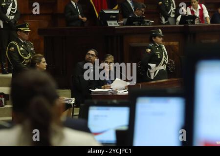 PROCÈS POLITIQUE MINISTRA PALENCIA Quito, mercredi 23 octobre 2024 la ministre Monica Palencia, en plénière de l'Assemblée nationale, dans son procès politique, soulevée par les membres de l'Assemblée Paola Cabezas et Leonardo Berrezueta, de Revolucion Ciudadana dans le Palais législatif photos API Rolando Enriquez Quito Pichincha Équateur POL POL PROCÈS POLITIQUE MINISTRE PALENCIA da6a78db4dd76418d15e24b48459 Copyright : xENDRIEDOZRIXX Banque D'Images