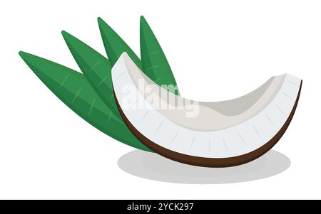Morceau de noix de coco avec des feuilles, tranche de noix crue juteuse, illustration colorée Illustration de Vecteur