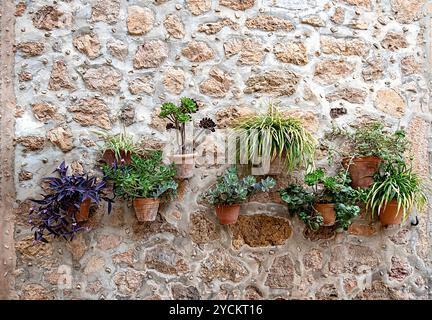 Photographie de fond de mur grunge en terre cuite avec des plantes dans des pots d'argile, mur décoré de vieille maison à Majorque, Espagne, motif abstrait ; texture Banque D'Images