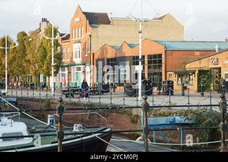 Vue sur Humber Dock St, Hull, de l'autre côté de la marina. Femme célibataire promenant un chien. Banque D'Images